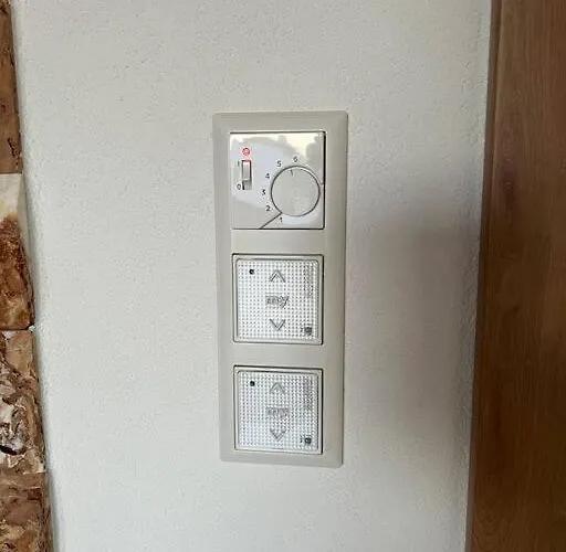 Falke * Meckenbeuren